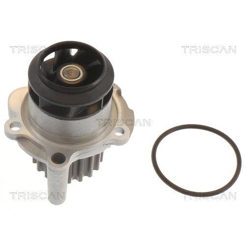 Wasserpumpe, Antriebsbatterie TRISCAN 8600 29063 f&uuml;r