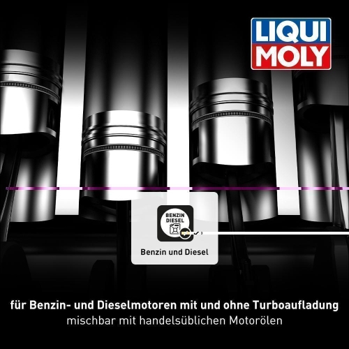 Motoröl LIQUI MOLY 1391 Synthoil Race Tech GT1 10W-60 für