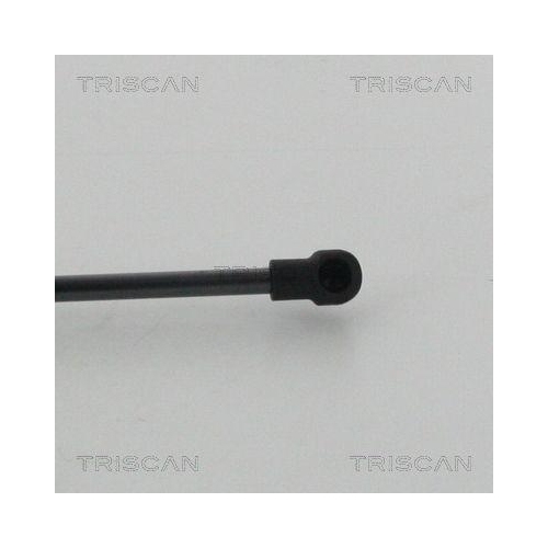 Gasfeder, Koffer-/Laderaum TRISCAN 8710 14254 für NISSAN, hinten links