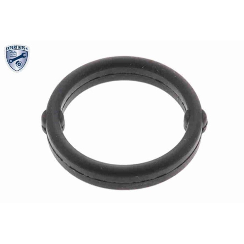 &Ouml;lk&uuml;hler, Motor&ouml;l VEMO V24-60-0019 EXPERT KITS + f&uuml;r FIAT