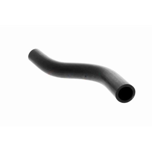 ACKOJA A26-1600 K&uuml;hlerschlauch Original ACKOJA Qualit&auml;t f&uuml;r HONDA, oben