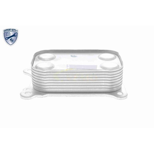 &Ouml;lk&uuml;hler, Motor&ouml;l VEMO V24-60-0020 EXPERT KITS + f&uuml;r FIAT