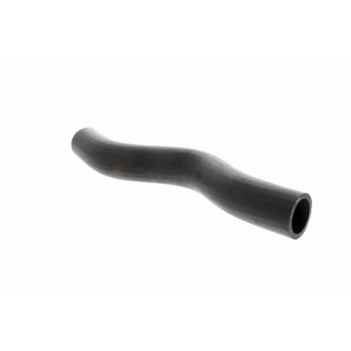ACKOJA A26-1601 K&uuml;hlerschlauch Original ACKOJA Qualit&auml;t f&uuml;r HONDA, oben
