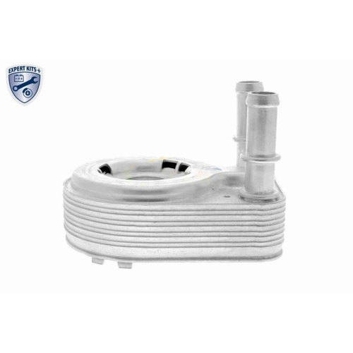 &Ouml;lk&uuml;hler, Motor&ouml;l VEMO V24-60-0021 EXPERT KITS + f&uuml;r FIAT