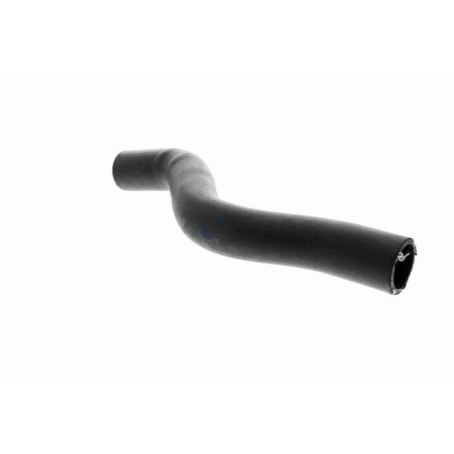 ACKOJA A26-1604 K&uuml;hlerschlauch Original ACKOJA Qualit&auml;t f&uuml;r HONDA, oben, unten