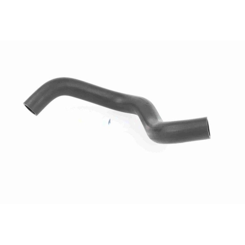 ACKOJA A26-1605 K&uuml;hlerschlauch Original ACKOJA Qualit&auml;t f&uuml;r HONDA, unten
