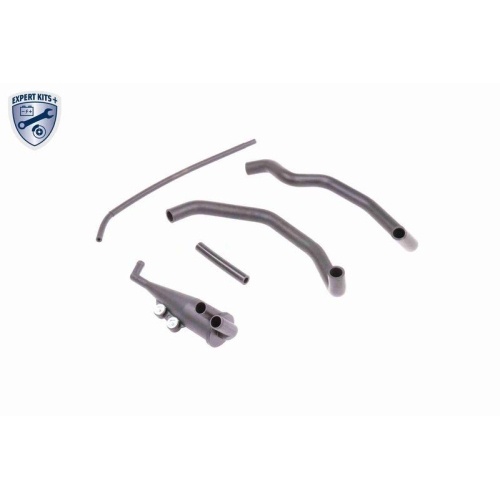 Reparatursatz, Kurbelgeh&auml;useentl&uuml;ftung VAICO V20-0004 EXPERT KITS + f&uuml;r BMW