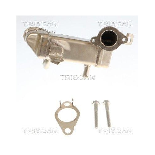 TRISCAN 8813 10120 K&uuml;hler, Abgasr&uuml;ckf&uuml;hrung f&uuml;r CITRO&Euml;N NISSAN PEUGEOT RENAULT