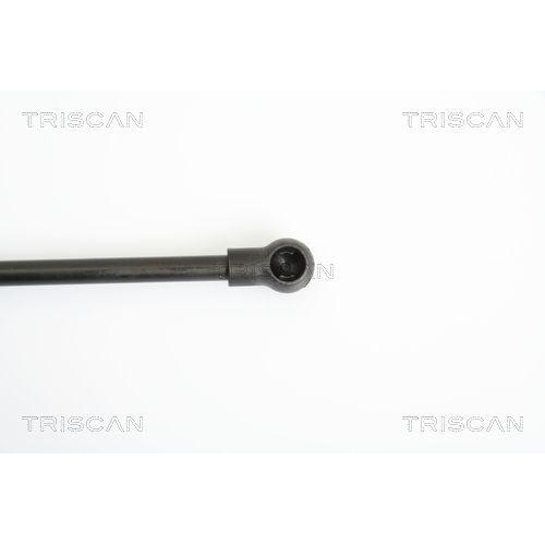 Gasfeder, Koffer-/Laderaum TRISCAN 8710 11227 für BMW, hinten links