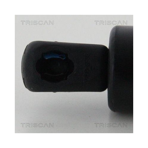 Gasfeder, Koffer-/Laderaum TRISCAN 8710 16274 f&uuml;r FORD, hinten links