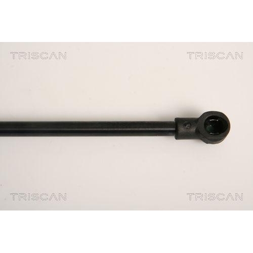 Gasfeder, Koffer-/Laderaum TRISCAN 8710 11230 f&uuml;r BMW, hinten links
