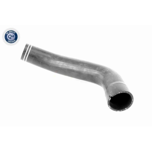 Ladeluftschlauch VAICO V24-0712 Q+, Erstausr&uuml;sterqualit&auml;t f&uuml;r FIAT, links