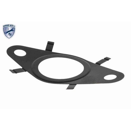 Dichtung, AGR-Ventil VEMO V24-63-0038 EXPERT KITS + für FIAT FORD