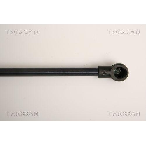 Gasfeder, Koffer-/Laderaum TRISCAN 8710 11231 für BMW, hinten links