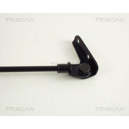Gasfeder, Koffer-/Laderaum TRISCAN 8710 69203 f&uuml;r SUZUKI, links