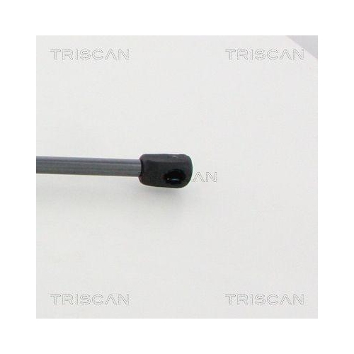 Gasfeder, Koffer-/Laderaum TRISCAN 8710 16277 für FORD, hinten links