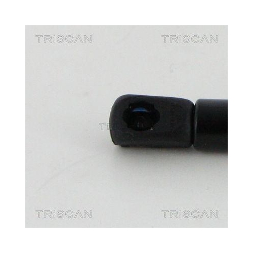 Gasfeder, Motorhaube TRISCAN 8710 17108 für JAGUAR, vorne links, vorne rechts