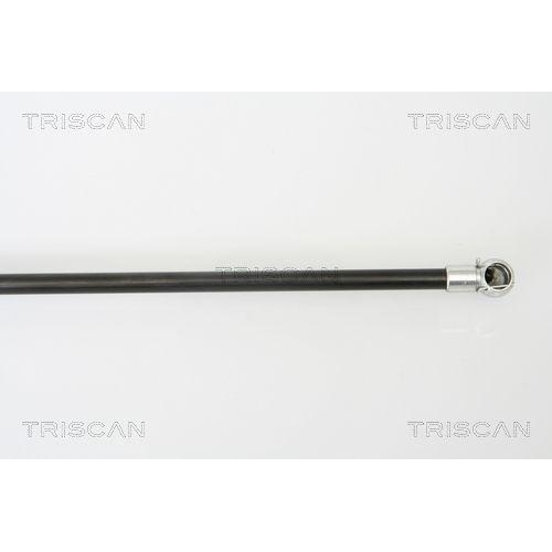 Gasfeder, Koffer-/Laderaum TRISCAN 8710 50241 für MAZDA, hinten links