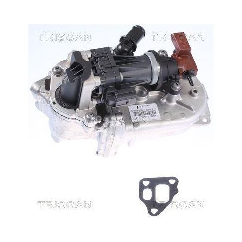 AGR-Ventil TRISCAN 8813 10108 f&uuml;r FIAT LANCIA OPEL VAUXHALL CHEVROLET