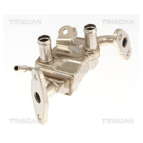TRISCAN 8813 13072 K&uuml;hler, Abgasr&uuml;ckf&uuml;hrung f&uuml;r TOYOTA