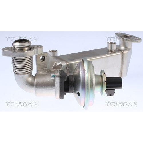 AGR-Ventil TRISCAN 8813 11009 f&uuml;r BMW HITACHI