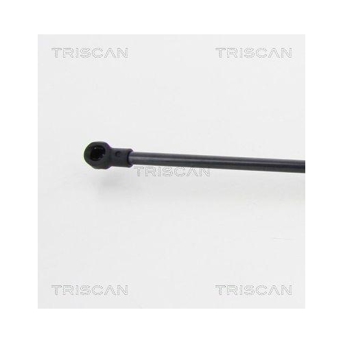 Gasfeder, Koffer-/Laderaum TRISCAN 8710 11236 für BMW, hinten links