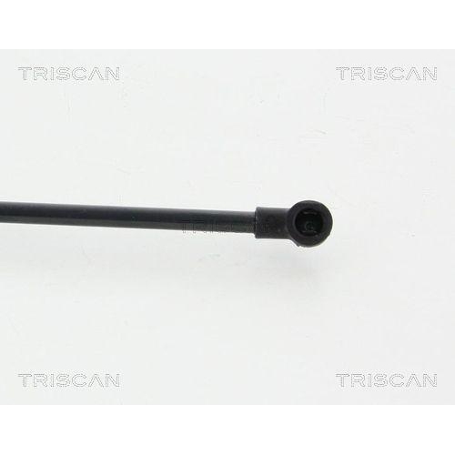 Gasfeder, Koffer-/Laderaum TRISCAN 8710 11294 für BMW, hinten links