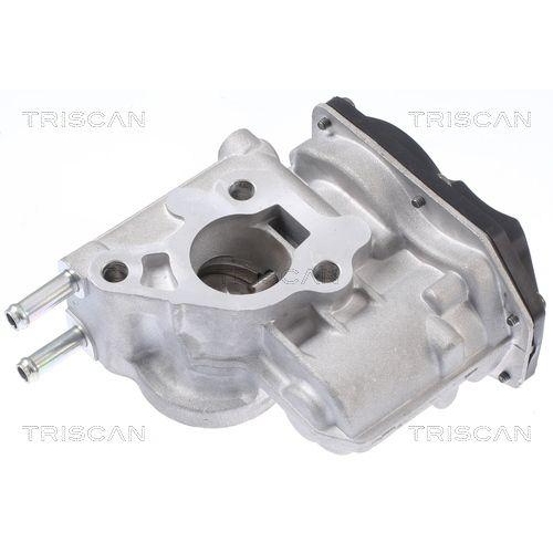 AGR-Ventil TRISCAN 8813 13066 f&uuml;r TOYOTA, oben