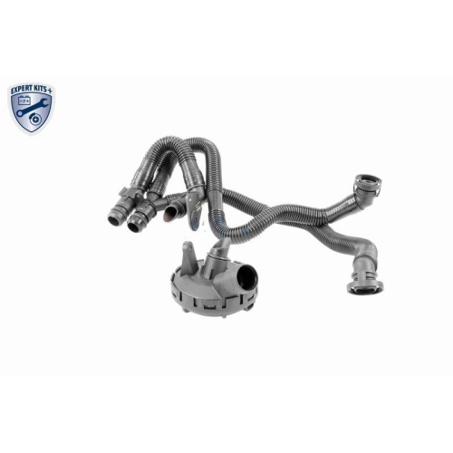 Reparatursatz, Kurbelgeh&auml;useentl&uuml;ftung VAICO V10-6492 EXPERT KITS + f&uuml;r SEAT VW