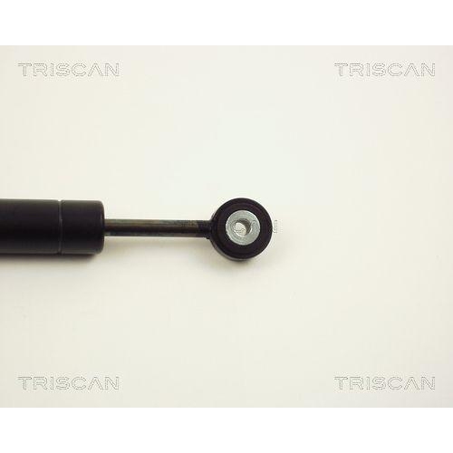 Schwingungsdämpfer, Keilrippenriemen TRISCAN 8710 2313 für MERCEDES-BENZ