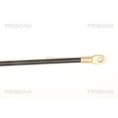 Gasfeder, Koffer-/Laderaum TRISCAN 8710 9009 f&uuml;r