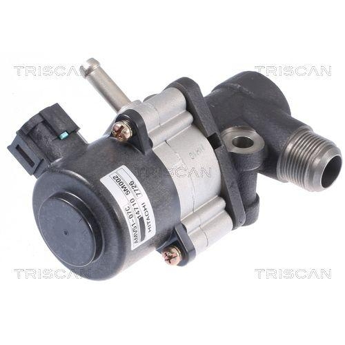 AGR-Ventil TRISCAN 8813 14026 f&uuml;r NISSAN