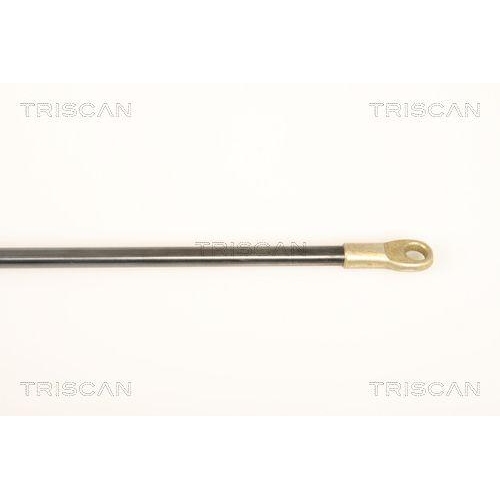 Gasfeder, Frontklappe TRISCAN 8710 9011 f&uuml;r