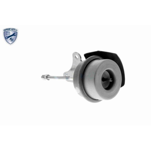 Steuerdose, Lader VEMO V15-40-0005 EXPERT KITS + f&uuml;r SEAT SKODA VW VAG