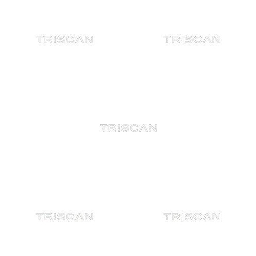 Zahnriemen TRISCAN 8645 5138 für DANA