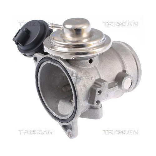 AGR-Ventil TRISCAN 8813 29309 f&uuml;r VW