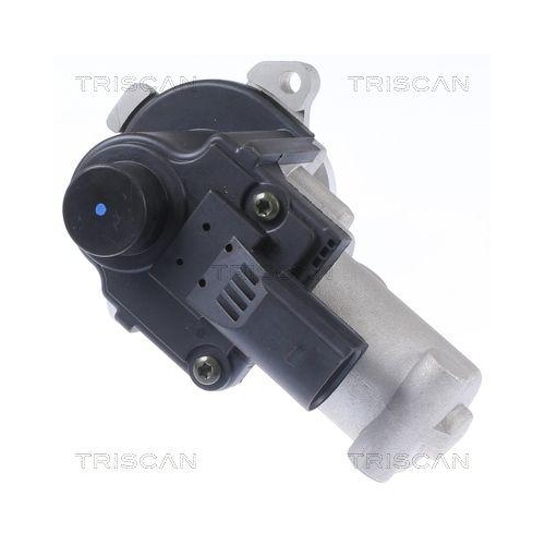 AGR-Ventil TRISCAN 8813 29310 f&uuml;r VW