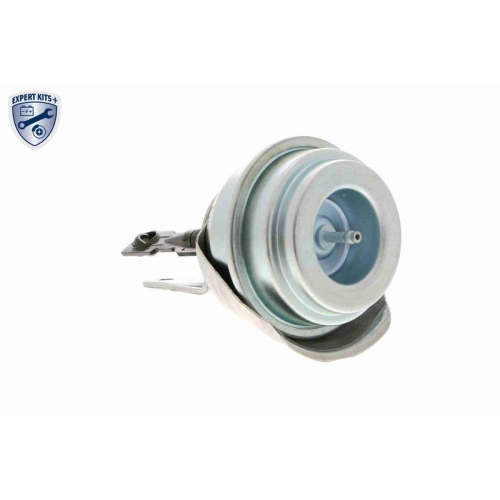 Steuerdose, Lader VEMO V15-40-0010 EXPERT KITS + f&uuml;r AUDI FORD SEAT SKODA VW VAG