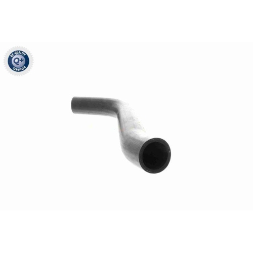 K&uuml;hlerschlauch VAICO V30-0729 Q+, Erstausr&uuml;sterqualit&auml;t f&uuml;r MERCEDES-BENZ