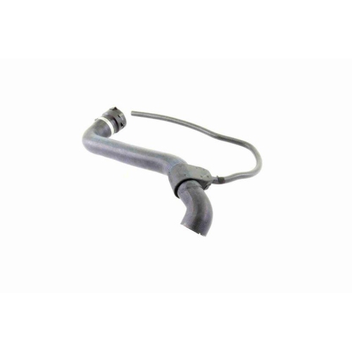 Kühlerschlauch VAICO V30-1456 Q+, Erstausrüsterqualität für MERCEDES-BENZ, oben