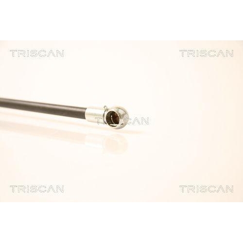 Gasfeder, Koffer-/Laderaum TRISCAN 8710 23209 für MERCEDES-BENZ, hinten links