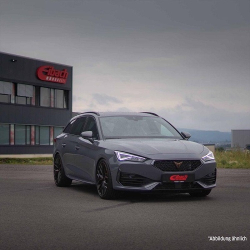 Fahrwerkssatz, Federn EIBACH E20-81-018-01-22 Sportline f&uuml;r