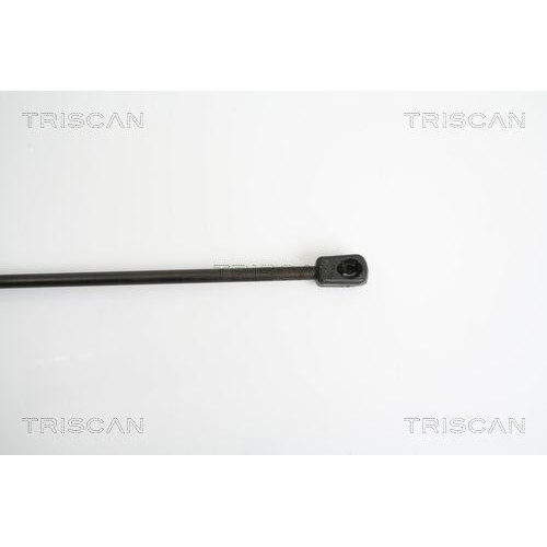 Gasfeder, Koffer-/Laderaum TRISCAN 8710 23213 für MERCEDES-BENZ, hinten rechts