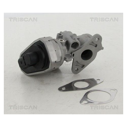 AGR-Ventil TRISCAN 8813 10002 f&uuml;r CITRO&Euml;N FIAT FORD PEUGEOT HITACHI LAND ROVER