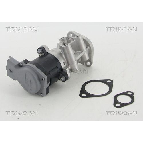 AGR-Ventil TRISCAN 8813 10009 f&uuml;r CITRO&Euml;N JAGUAR PEUGEOT LAND ROVER, hinten