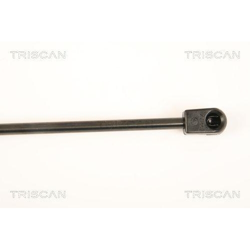 Gasfeder, Koffer-/Laderaum TRISCAN 8710 23217 für MERCEDES-BENZ, hinten links