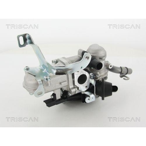 AGR-Ventil TRISCAN 8813 10103 f&uuml;r CITRO&Euml;N FORD PEUGEOT VOLVO
