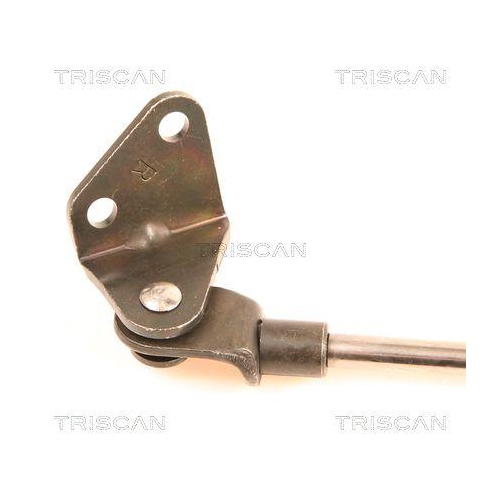 Gasfeder, Koffer-/Laderaum TRISCAN 8710 41212 für DAIHATSU, hinten rechts