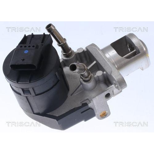 AGR-Ventil TRISCAN 8813 11001 f&uuml;r BMW