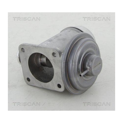 AGR-Ventil TRISCAN 8813 11102 f&uuml;r BMW